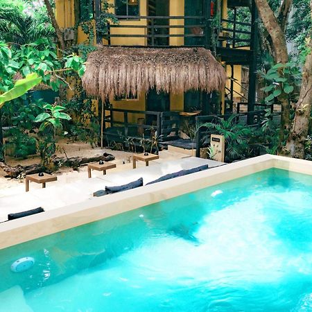 Terasu Riviera Maya Hotel & Spa, En Xcaret Solidaridad Zewnętrze zdjęcie